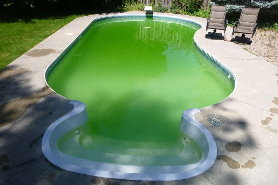 Havuz Suyu Neden Yeşil Olur?
