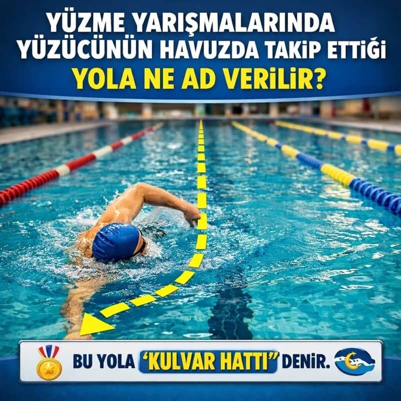 Yüzme Yarışmalarında Yüzücünün Havuzda Takip Ettiği Yola Ne Ad Verilir?