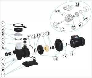 Baracuda Aquantis Max 1.5 HP 220V Havuz Pompası