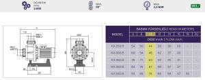 Kapra-KA 300.B T1 3Hp 380 V Ön Filtresiz Havuz Pompası