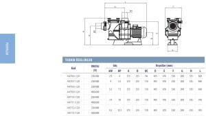 Colorado Ön Filtreli Havuz Pompası 7.5Hp 380 Volt