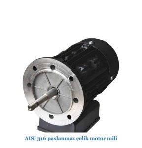 Flo300T 3Hp 380 V Flodeer Havuz Pompası