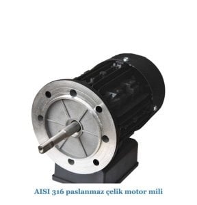 Flo550T 5.5Hp 380 V Flodeer Havuz Pompası