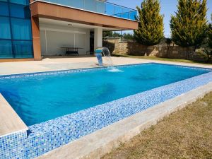 316 Krom Mini Kuğu Model Su Perdesi 500x750mm