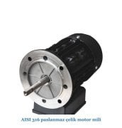 Gemaş Havuz Pompası Streamer Mini 1 Hp 380 Volt