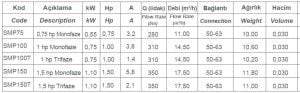 Smp Havuz Pompası 0,75 Hp 220 Volt
