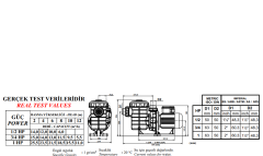 Nozbart Şirin Monofaze 3/4 HP Pompa