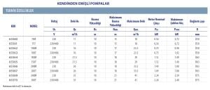 Astral Havuz Pompası Victoria Plus Silent 0.75 Hp  380 Volt