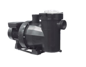 Astral Havuz Pompası Victoria Plus Silent 0.75 Hp  380 Volt