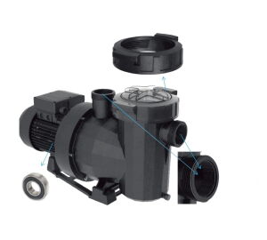 Astral Havuz Pompası Victoria Plus Silent 0.75 Hp  220 Volt