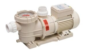 DXD Havuz Pompası 1.5 HP 220V