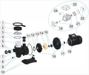 Baracuda Aquantis Max 0,50 HP 220V Havuz Pompası