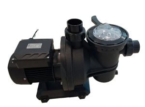 Aquantis Max 1 HP 220V Havuz Pompası
